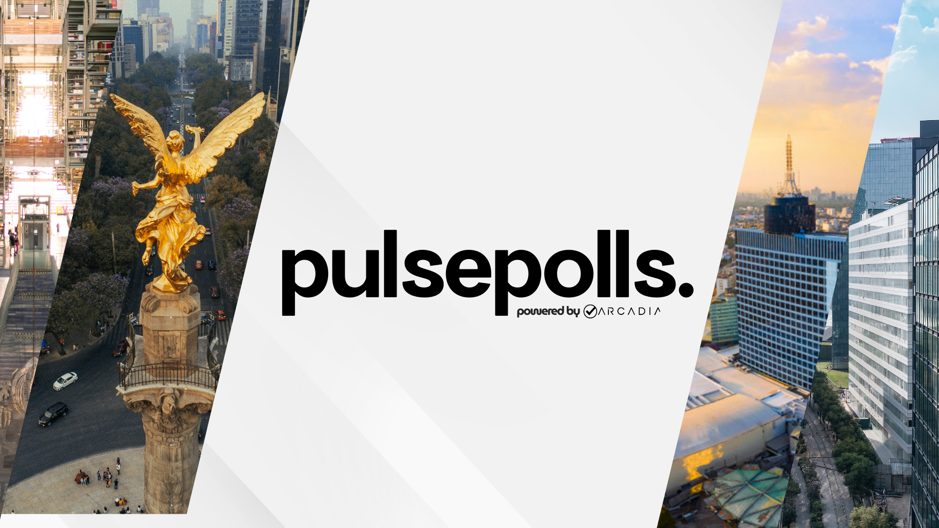 Bienvenidos a PulsePolls.